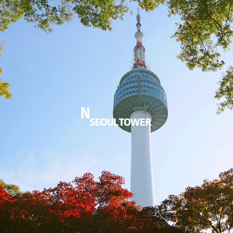 단풍 사이로 보이는 N서울타워